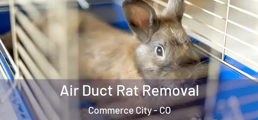  Air Duct Rat Removal Commerce City - CO