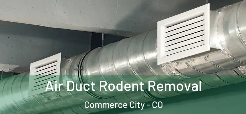  Air Duct Rodent Removal Commerce City - CO