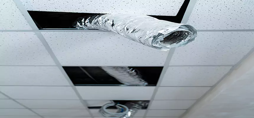 Affordable HVAC Sanitizing After Pest Removal in Commerce City