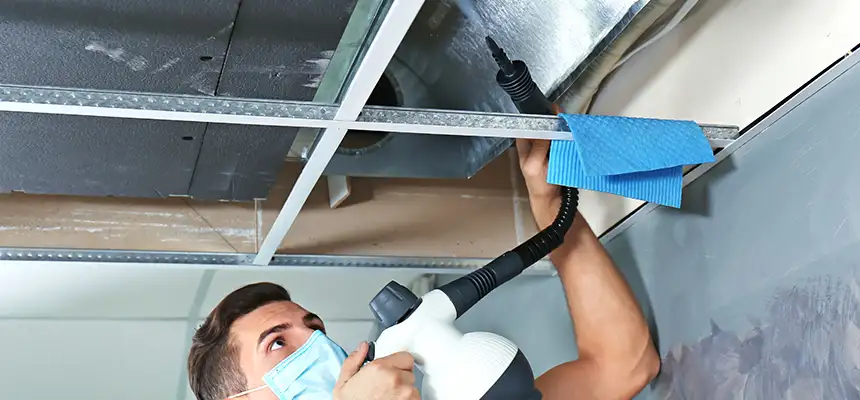 Our Air Duct Rodent Removal Services in Commerce City, CO