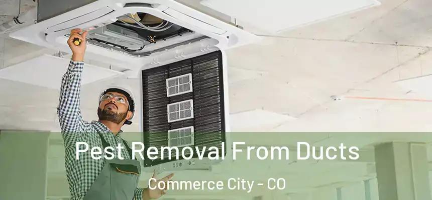  Pest Removal From Ducts Commerce City - CO
