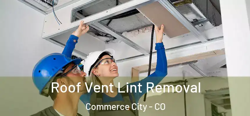  Roof Vent Lint Removal Commerce City - CO